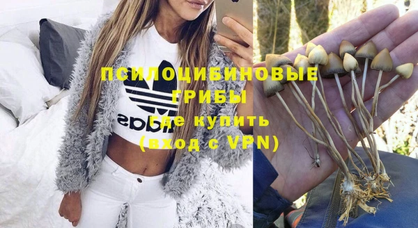 трава Нязепетровск