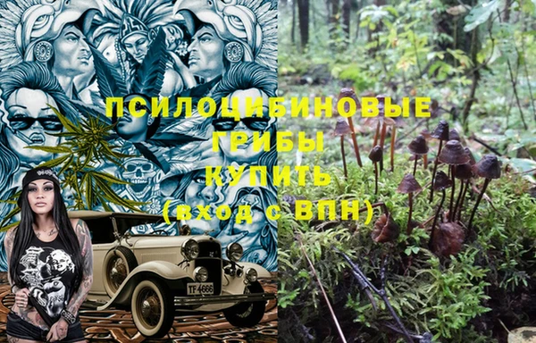 трава Нязепетровск