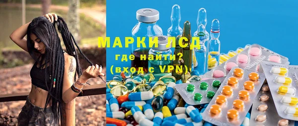 крисы Осинники