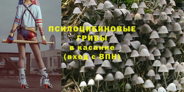 трава Нязепетровск