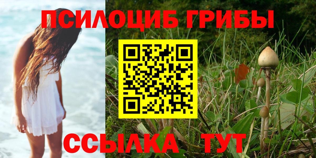 Псилоцибиновые грибы MAGIC MUSHROOMS Алексин