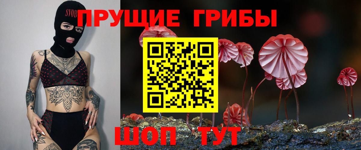 Псилоцибиновые грибы мицелий  Алексин 